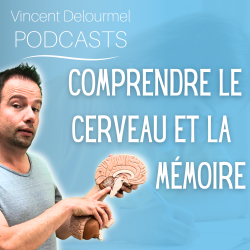 Vignette de Comprendre le cerveau et la m&eacute;moire