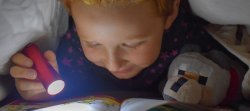 Vignette de Pourquoi ne peut-on pas apprendre en dormant ?