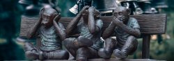 Vignette de Pourquoi le bruit empêche le cerveau d'apprendre ?