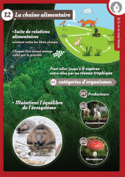 Vignette de Rejoignez le projet "Une Encyclopédie Dans la Tête" !