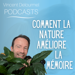 Vignette de Comment la nature améliore la mémoire