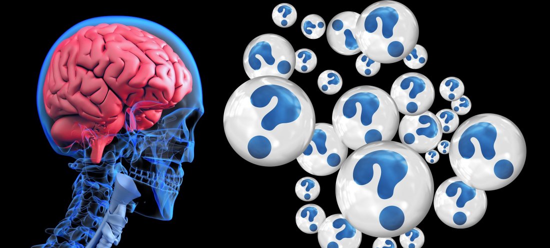 Les connexions neuronales se réorganisent en continue : votre cerveau est plastique
