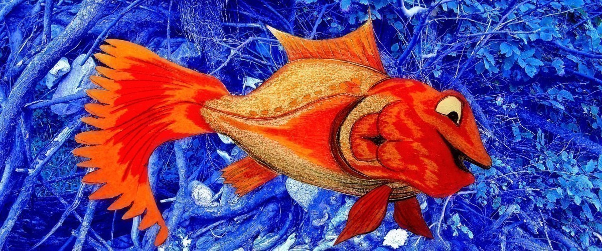 A l'expression mémoire de poisson rouge, je préfère celle-ci : heureux comme un poisson dans l'eau