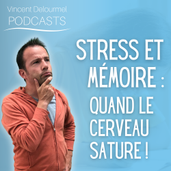 Vignette de Stress et Mémoire : quand le cerveau sature !