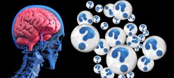 Vignette de Pourquoi parle-t-on de plasticité neuronale ?