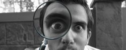 Vignette de Le cerveau face à l'apport de la preuve
