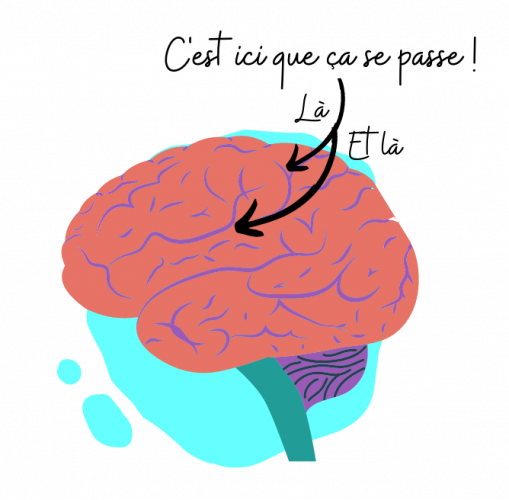 Cerveau raisonnement 0cb29