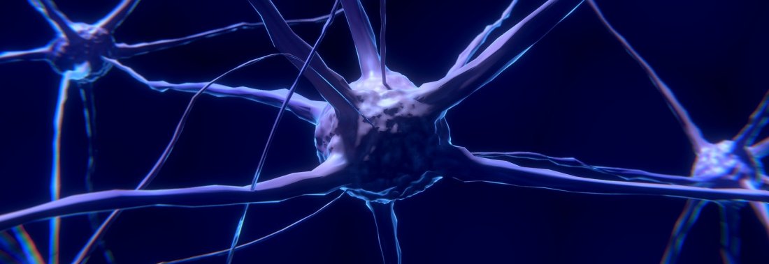 200 types de neurones différents pour notre cerveau